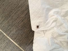 -乐宠宠物店(世纪金源店)