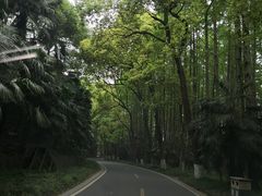 -采石矶景区