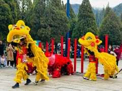 -龙口南山旅游景区