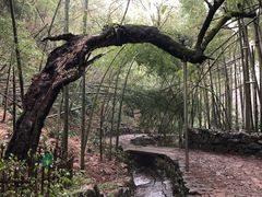 -会稽山峡洞漂流-上青古道