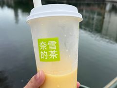 -奈雪的茶(大梅沙8号仓店)