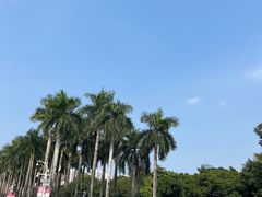 -顺峰山公园