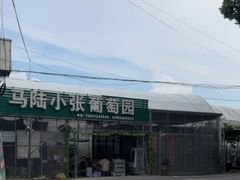 -马陆小张葡萄园农家乐