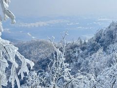 -紫金山山顶公园