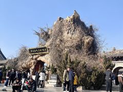 -大槐树寻根祭祖园