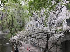 -湖北省美术院美术馆