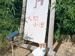 -西西里轰趴日租聚会别墅·团建拓展