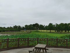 -东滩湿地公园观海楼餐厅