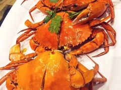 -黄记大闸蟹专卖店·活蟹·醉蟹