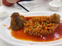 松鼠桂鱼-怡园饭店-餐厅(四望亭店)