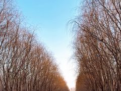 -东方华地城湿地温泉度假区