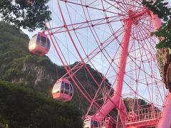 -柳州市动物园