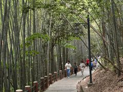 -敬亭山风景名胜区