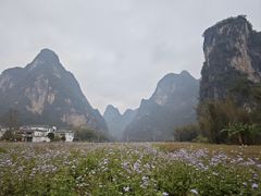 -明仕田园