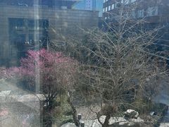 -海盐宾馆-中餐厅