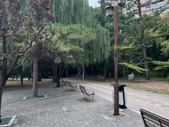 -团结湖公园