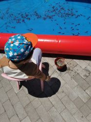 点击看大图 -季高兔窝窝亲子园(上海薰衣草公园店)