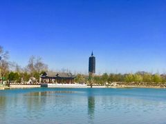 -西海子公园