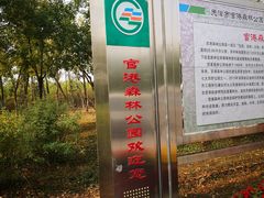 门面-官港森林公园