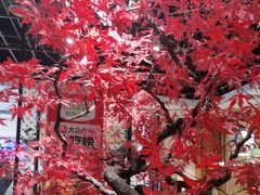 -禾珍珠家常小馆(河南博物院店)