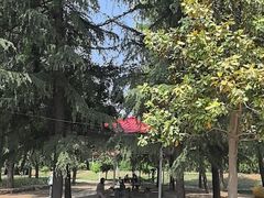 -洛阳郁金香牡丹园