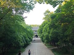 -灵谷景区