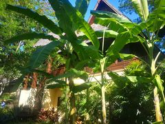 -四季酒店下午茶