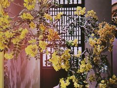 -金链花·泰国餐厅(国贸店)