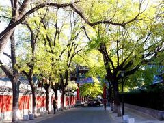-北京国子监胡同