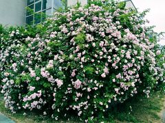 -江南大学(蠡湖校区)