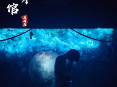 -屋有岛沉浸游戏旗舰店(中山公园店)