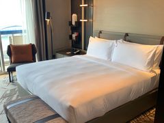 -新加坡瑞士史丹福酒店