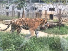 -黔灵山公园-南门售票处