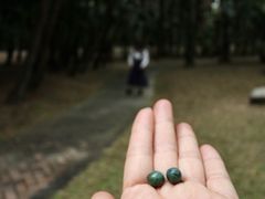 -华南国家植物园-售票处