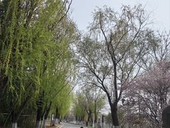 -艾山风景名胜区