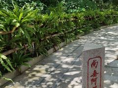 -深圳仙湖植物园