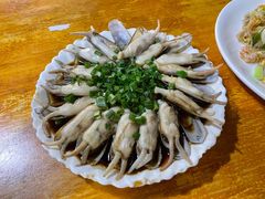 葱油蛏子-温州一家人美食(西木头市店)