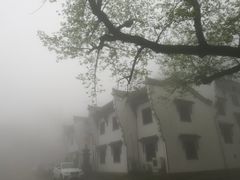 -九华山聚龙大酒店