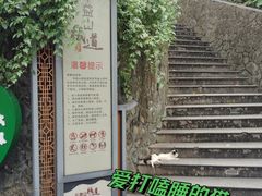 -佛山华盖山公园