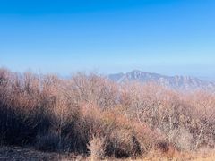 -灵山
