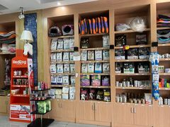 -瑞派名望志远动物医院·猫科·內科·异宠专科(直港大道店)