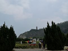 -南沙蒲洲花园