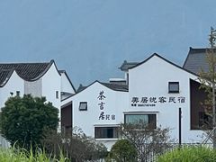 -东梓关景区村庄