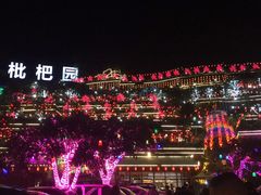 -枇杷园食为鲜火锅(南山店)