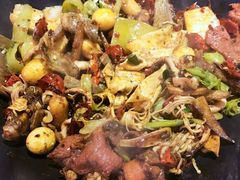 -食乐佳麻辣香锅(森林摩尔商业街区店)