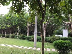 -滴水岩森林公园