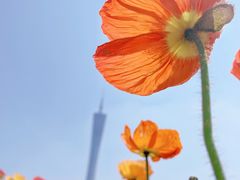 -二沙岛艺术公园