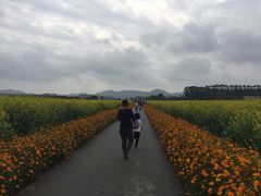 -光明小镇欢乐田园