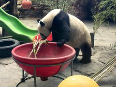 -石家庄市动物园