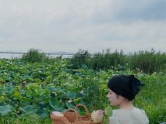 -七的湖·晚芳亭·阳澄湖农家菜·大闸蟹(莲花岛店)